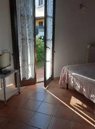 Oleandro With Garden