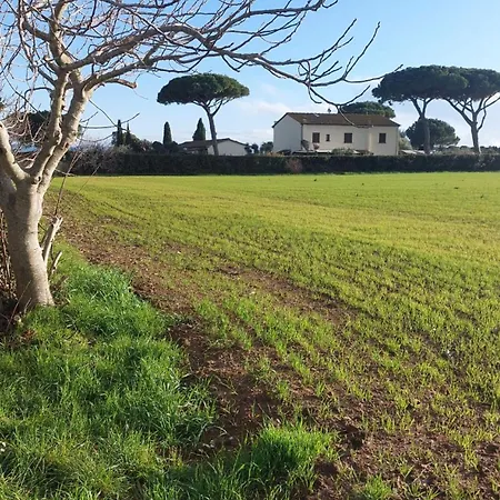 Apartment Oleandro With Garden La Cinquantina