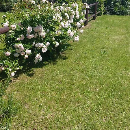 Oleandro With Garden דירה *
